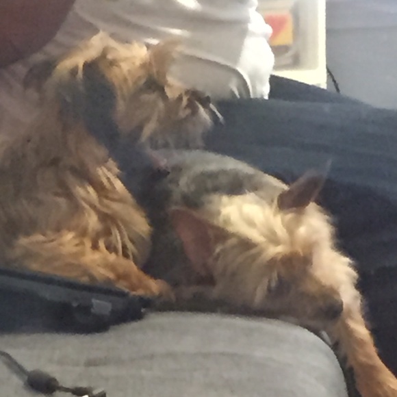 Exhausted business partners - Picture 1 of 1