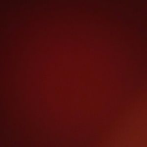 Meet your Posher, Sasha