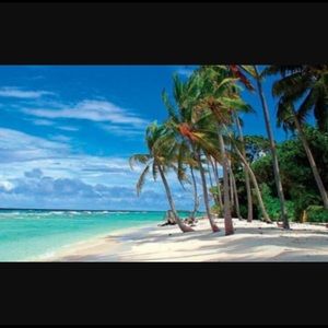 Meet your Posher, Blair