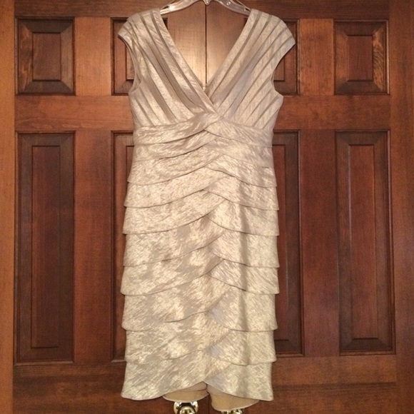 Adrianna Pappell Shimmering Dress!