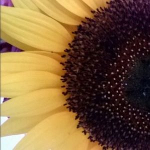 Meet your Posher, Maddy