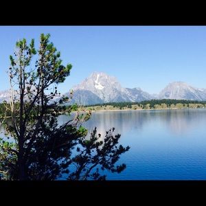 Meet your Posher, Paulette