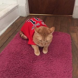 Meet your Posher, Cindy