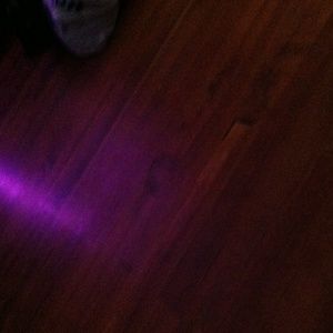 Meet your Posher, Sam