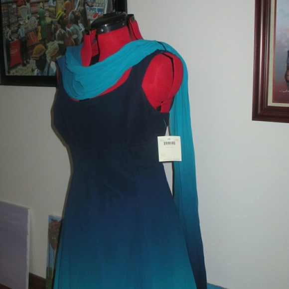 Dana Buchman Chifon dress