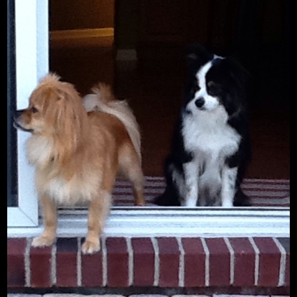 Meet your Posher, Jennifer - Picture 2 of 2