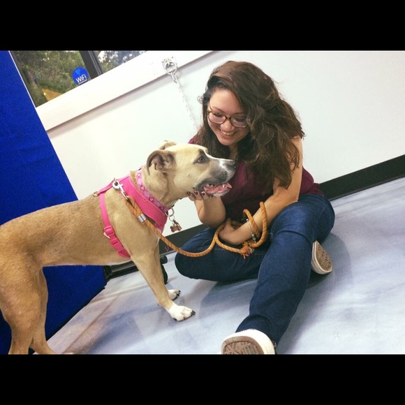 Meet your Posher, Annalee - Picture 6 of 6