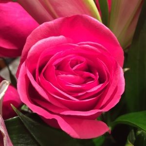 Meet your Posher, Becca