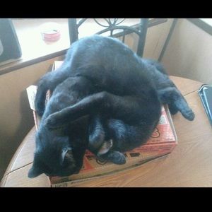 Meet your Posher, Heather