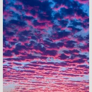 Meet your Posher, Cody