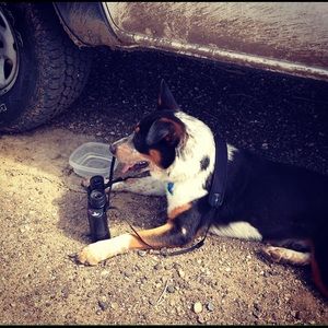 Meet your Posher, Marie