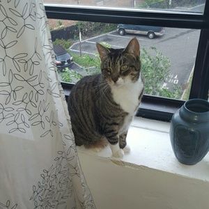 Meet your Posher, Aimee