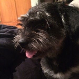 Meet your Posher, Lisa