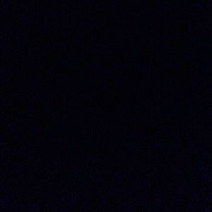 Meet your Posher, Cheyenne