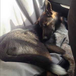 Meet your Posher, Alyssa