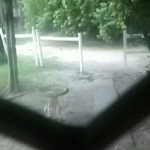 Meet your Posher, Robby