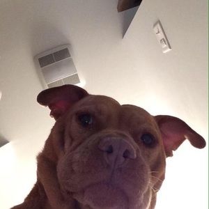 Meet your Posher, Kennay