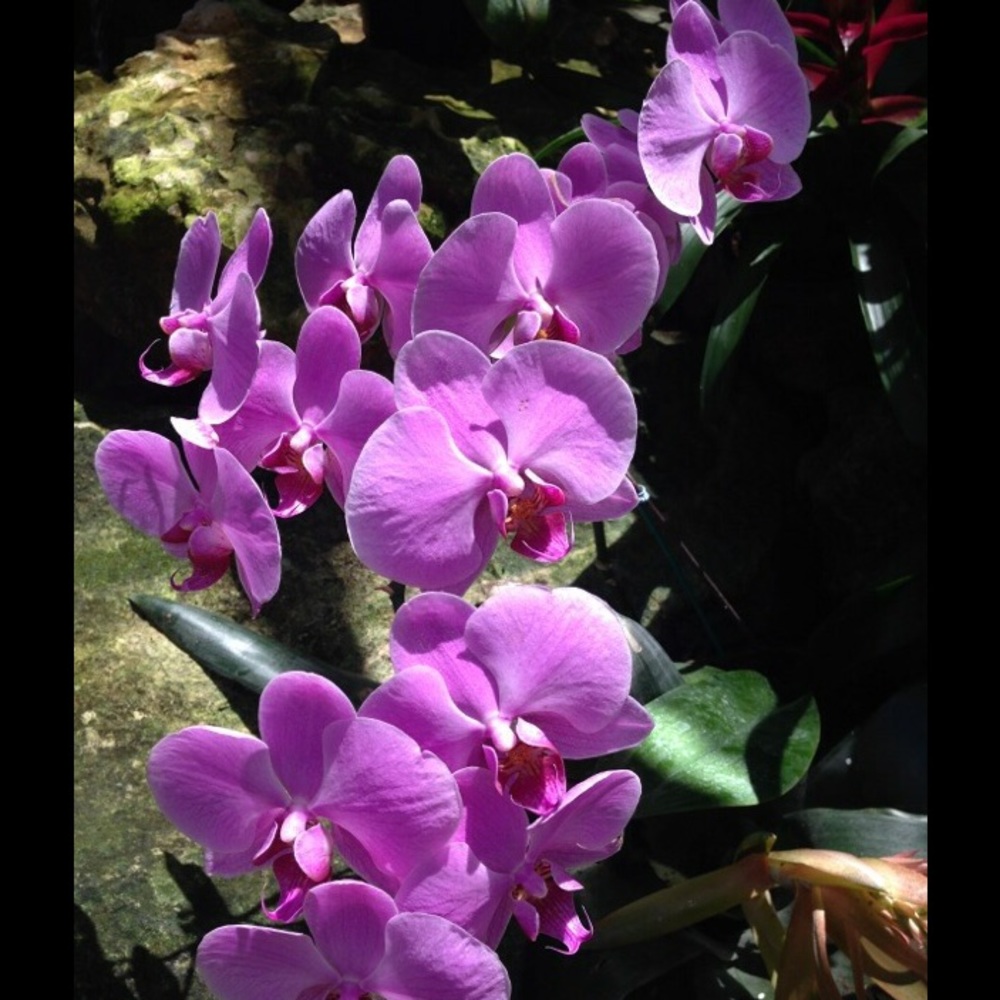 Meet your Posher, Joel n