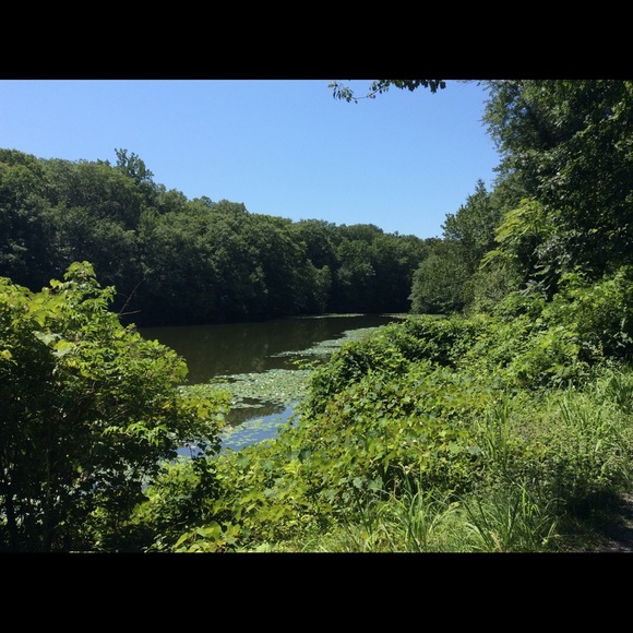 Meet your Posher, Nelly