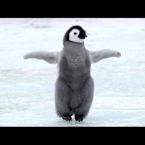 Meet your Posher, Caroline