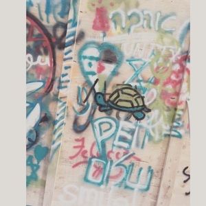 Meet your Posher, Anna