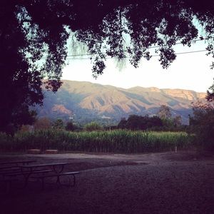 Meet your Posher, Taryn