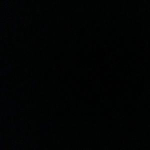 Meet your Posher, Adrienne