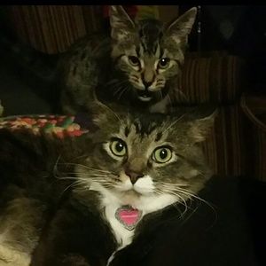 Meet your Posher, Carly