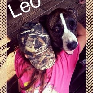 Meet your Posher, Hailey