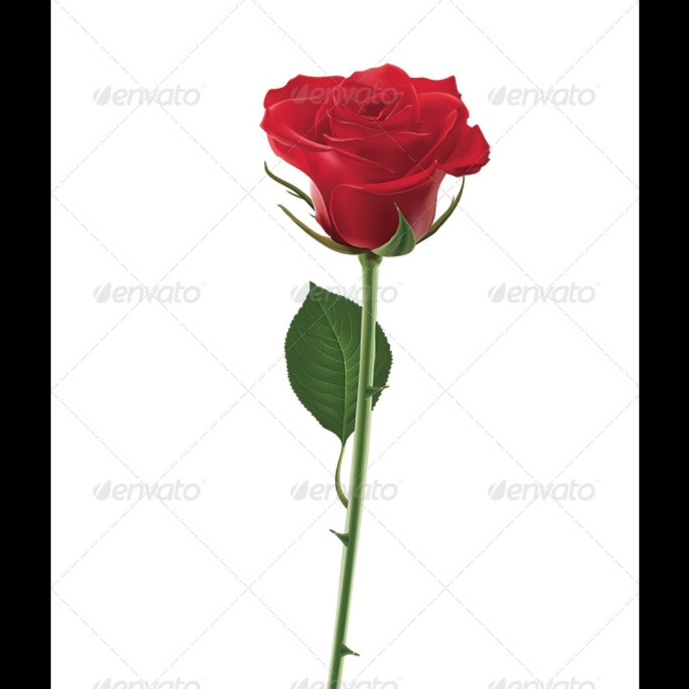 🍃🌹”Make an OFFER!! - c'mon...Try it 🍃🌹🍃