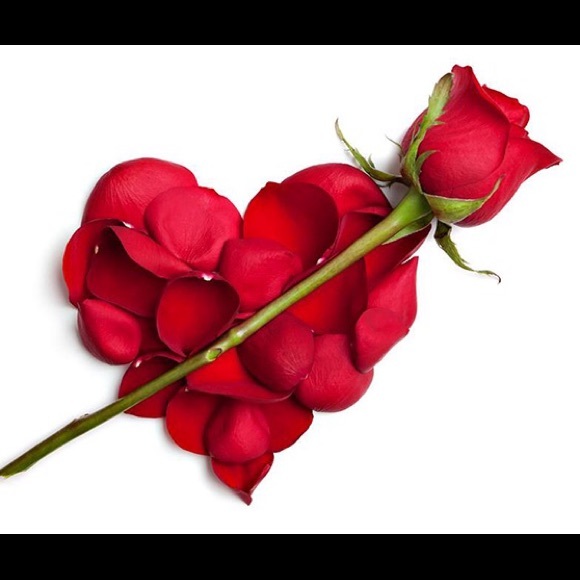 ๐๐นโMake an OFFER!! - c'mon...Try it ๐๐น๐ - Picture 2 of 2