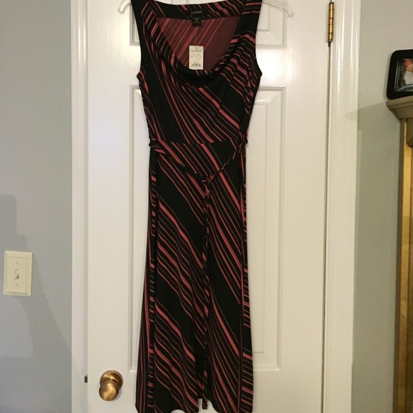 Express Dress - Picture 3 of 4