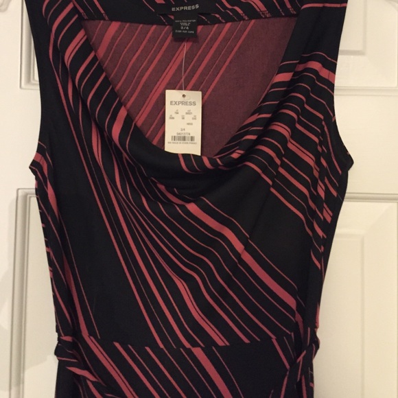 Express Dress - Picture 4 of 4