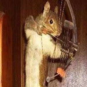 Meet your Posher, Rob