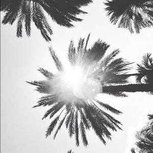 Meet your Posher, Natasha