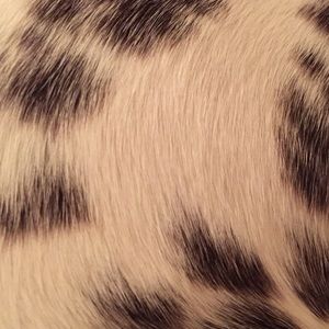 Meet your Posher, Beth