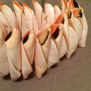 🐚Shell Bracelet.🐚