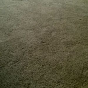 Meet your Posher, Laurel