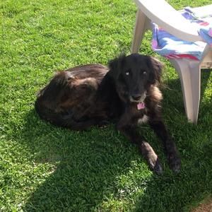 Meet your Posher, Julia