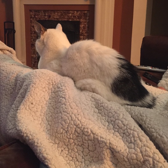 Meet your Posher, Jana