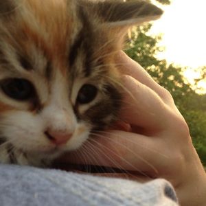 Meet your Posher, Natalie