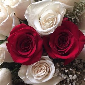 Meet your Posher, Annette