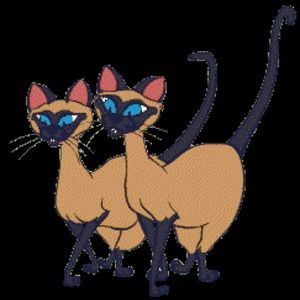 Meet your Posher, Mona