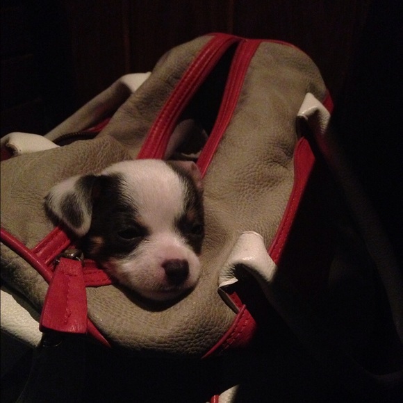 Meet your posher - Aiste! - Picture 4 of 4