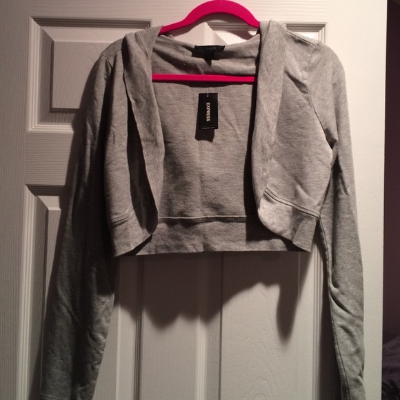 NWT Express cropped sweatshirt hoodie