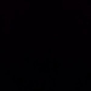 Meet your Posher, Curtis