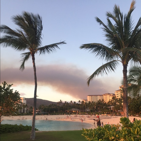 Meet your Posher, Amy - Picture 1 of 1