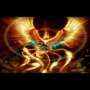 Meet your Posher, Julio