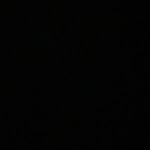 Meet your Posher, Fredy