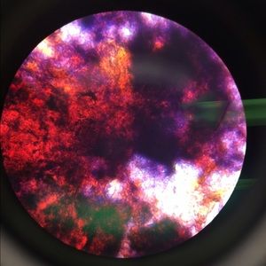 Meet your Posher, Corinne